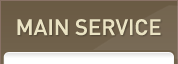 MAIN SERVICE